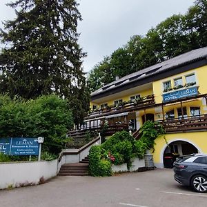 Austria Traveller Hotel Lenzing